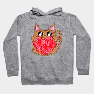 Vance The Brown Pattern Cat With Valentines Heart Hoodie